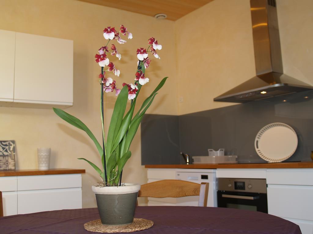 La Vayssade - Maison D'Hotes - Jacuzzi, Piscine & Truffes Lalbenque Exteriör bild